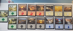 MTG - Basic Land Set - Shadows over Innistrad - Image 1