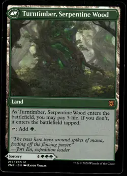 1x Turntimber Symbiosis - Zendikar Rising - NM - MTG - Image 2
