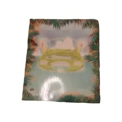 2001 Pokemon Southern Islands Binder (No cards) plus cardboard casing - Image 4