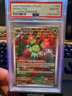2025 POKEMON JTG EN-JOURNEY TOGETHER ILLUSTRATION RARE #160 MARACTUS PSA 10 - Image 1