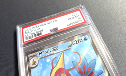 2024 Pokemon Surging Sparks Milotic ex #217 Ultra Rare tcg english - PSA 10 - Image 5
