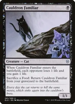 1x Cauldron Familiar NM Eng MTG - Throne of Eldraine - Image 1