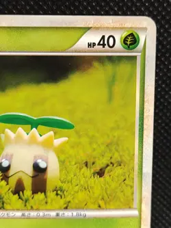 Sunkern 009/070 1st Ed Rare Pokemon Card Japanese TCG Nintendo - Image 3