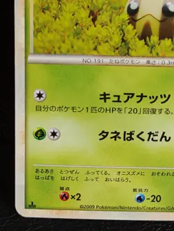 Sunkern 009/070 1st Ed Rare Pokemon Card Japanese TCG Nintendo - Image 5