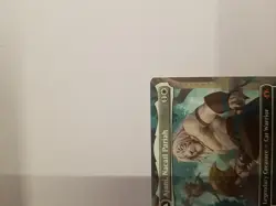 Ajani, Nacatl Pariah - Regular Borderless - Modern Horizons 3 - Mtg English NM - Image 3