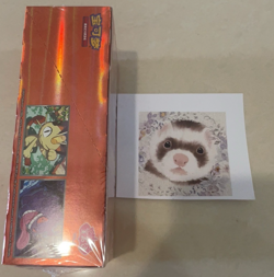 Pokemon TCG S-Chinese Gem Pack Vol. 3 Booster Box Exclusive Gengar Set - INHAND - Image 3