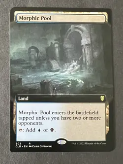 NM Extended Art Morphic Pool, MTG, Baldur's Gate, Magic, 603 - Image 2