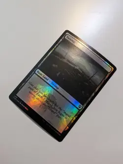 MTG - Swamp 459 (Foil) - Baldur's Gate NM/M Condition - Image 2