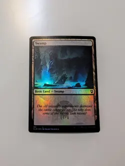 MTG - Swamp 461 (Foil) - Baldur's Gate NM/M Condition - Image 1