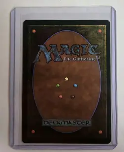 MTG - Spider-Punk (0207) - Borderless Non-foil - Marvel's Spider-Man - Image 2