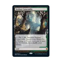 WOTC MtG Zendikar Rising Expeditions Verdant Catacombs (MR) NM - Image 1