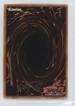 Petit Dragon European YuGiOh Legend of Blue Eyes White #LOB-E019 2002 - Image 2
