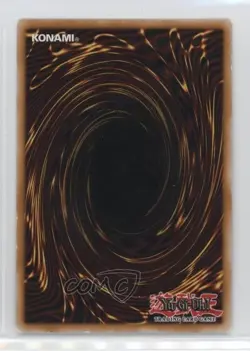 Solidarity 1st Ed. YuGiOh Lost Sanctuary Structure Deck #SDLS-EN031 - Image 2