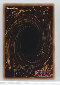 Solidarity 1st Ed. YuGiOh Lost Sanctuary Structure Deck #SDLS-EN031 - Image 2