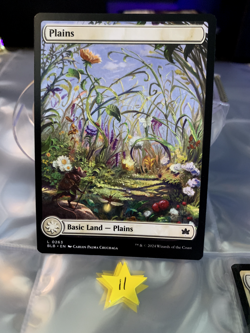 Plains 0262 *Full Art Basic Land* Magic MtG x1 Bloomburrow - Image 1