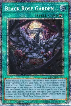 Yugioh DOOD-EN055 Black Rose Garden Starlight Rare 1st Edition MINT - Image 1