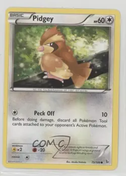 Pidgey Pokemon XY Flashfire #75 - Image 1