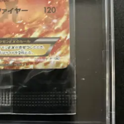 Pokemon Japanese Charizard EX 030/XY-P Promo Pack Factory Sealed CoroCoro Japan - Image 4