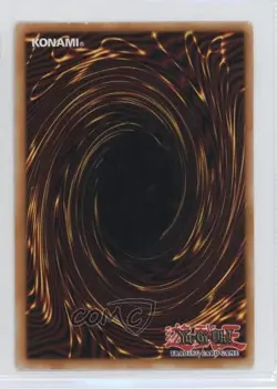 Thunder Dragon Wal-Mart Exclusive YuGiOh Dark Legends #DLG1-EN041 2008 - Image 2