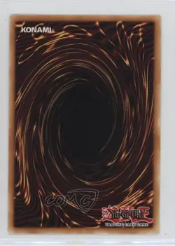 Lyrizusc - Ensemblue Robin 1st Ed. YuGiOh Legendary Duelists: Synchro Storm - Image 2