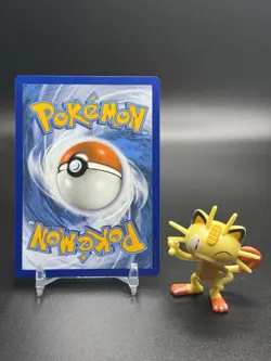 Morpeko SWSH116 SWSH: Sword & Shield Promo Cards Holo - Image 2