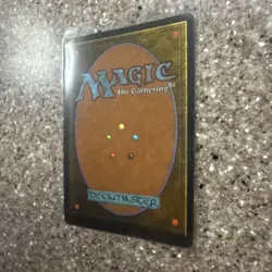 Magic the Gathering - Legends Wall of Light Uncommon 1994 NM/M - Image 5