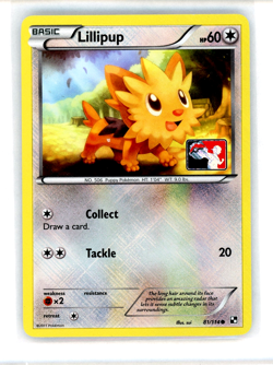 Lillipup 81/114 Crosshatch League Promo Black & White Pokemon TCG NM - Image 1