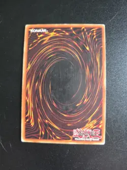 Ancient Forest - ANPR-EN048 - Super Rare - Unlimited Edition - YuGiOh - Played - Image 2