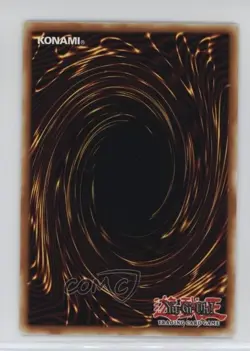 Mystik Wok 1st Ed. YuGiOh Rise of the Dragon Lords #SDRL-EN028 2007 - Image 2