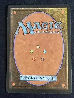 1x Lim-Dul's Paladin Alliances LP MTG Magic the Gathering x1 MKE - Image 2