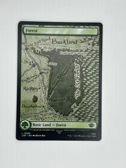 Forest 0280 - MTG The Lord of the Rings (2023) - NM - Regular Full Art Land - Image 1