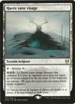 mtg magic Faceless Haven FRENCH vf fr Havre sans visage kaldhiem - Image 1