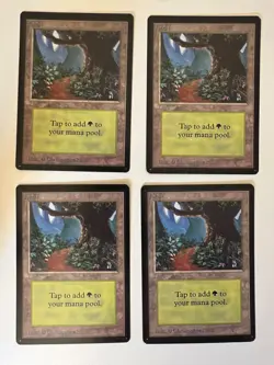 Magic the Gathering MTG Forest v.1 (Path) Beta NM- (Beta Bob) - Image 1