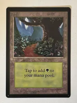 Magic the Gathering MTG Forest v.1 (Path) Beta NM- (Beta Bob) - Image 2