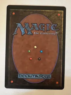Magic the Gathering MTG Forest v.1 (Path) Beta NM- (Beta Bob) - Image 3