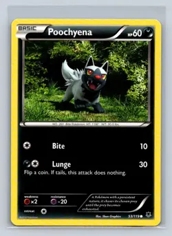 Poochyena #53/119 XY: Phantom Forces Common - Pokemon Cards D46 - Image 1