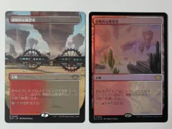 Inspiring Views Set of Four with Foil Cards Collectible Card Game - Image 3