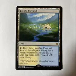 Overflowing Shore Flooded Strand MTG Non-Foil Play Condition - Image 1