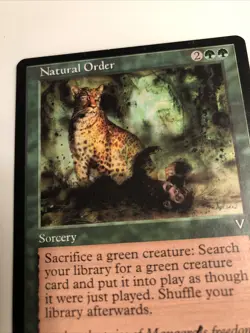 Natural Order Magic MTG Visions LP SIGNED By Artist Terese Nielsen Vintage - Image 3