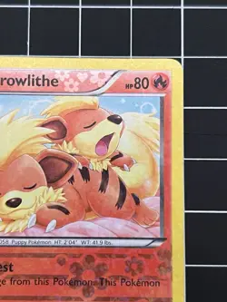 Growlithe [Reverse Holo] #RC4/RC25 | 2013 Pokemon Legendary Treasures (LP) - Image 3