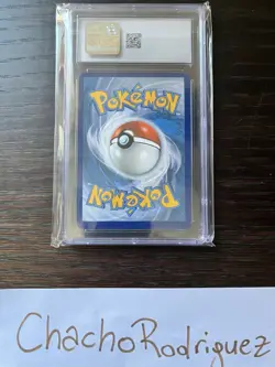 Dubwool V - SV120/122 - Pokemon TCG Shining Fates Shiny Vault - Holo - Image 2