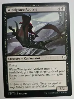 MTG Magic The Gathering Card Windgrace Acolyte Creature Cat Warrior Black Domina - Image 1