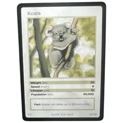Life TCG Mammals Koala 2023 1st Edition Common 52/100 Wildlife Animal Card - Image 1