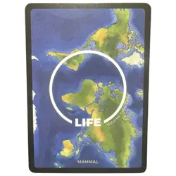 Life TCG Mammals Koala 2023 1st Edition Common 52/100 Wildlife Animal Card - Image 2