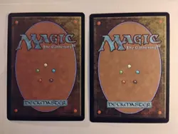 MTG TIME SPIRAL uncommon SPIRIT LOOP x2 LP Light Play - Image 2