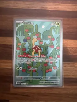 Shuckle 136/132 - ME01: Mega Evolution Pokemon Illustration Rare Holo NM - Image 1