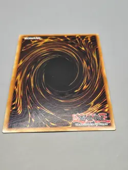 Yugioh Red-Eyes Slash Dragon LDS1-EN014 Secret Rare Limited Edition NM - Image 3