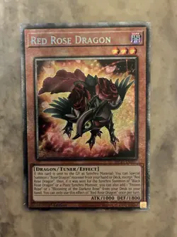 Yugioh! TCG - Red Rose Dragon - Starlight Rare - 2025 Mega-Pack - MP25-EN037 - Image 1