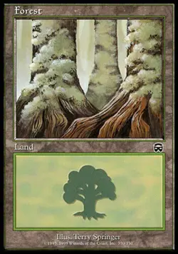 MTG - 4 x Forest - Playset 4x x4 - Mercadian Masques Mix Regular - Image 2