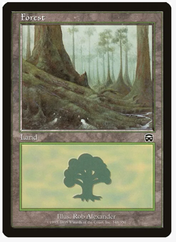 MTG - 4 x Forest - Playset 4x x4 - Mercadian Masques Mix Regular - Image 3